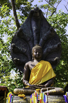 IMAGE OF BUDDHA