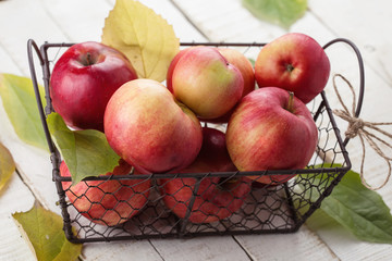 Fresh apples in metallic bucket