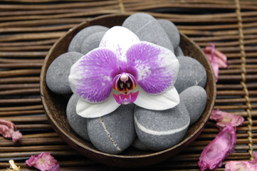 Bowl of spa stone with orchid and petals on mat