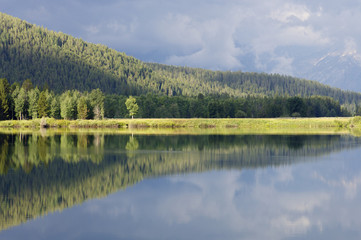 reflections in the river