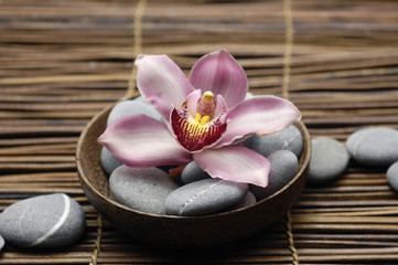Fototapeta na wymiar Zen rock and gorgeous orchid in bowl