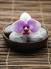 orchid with gray stones in wooden bowl on mat