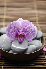 Fototapeta na wymiar gorgeous orchid with gray stones on bamboo mat