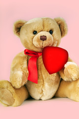 Teddy Bear with Heart