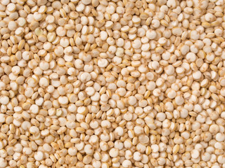 Quinoa
