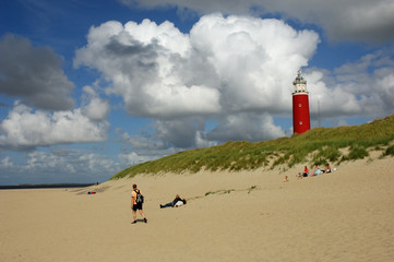 texel faro