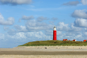 texel faro
