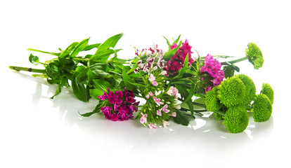 Branch of green chrysanthemums and colored carnations