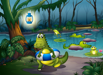 Obraz premium Alligators at the pond in the forest