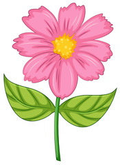 A pink flower