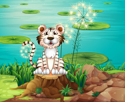An animal above the stump at the riverbank