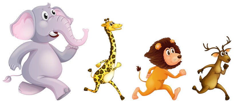 Four wild animals running