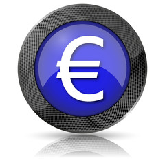 Euro icon