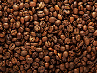 Background of coffee grains