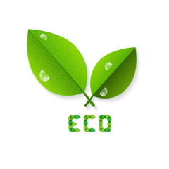 Ecology Background With Leaves