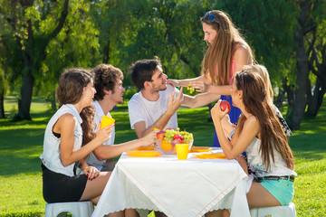 Group of teenagers enjoying a summer picnic.