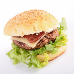 burger isolated