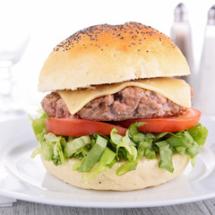 burger on plate