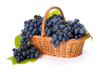 Blue grape clusters in basket