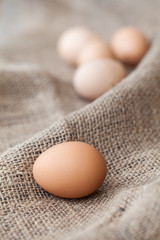 Eggs on sackcloth