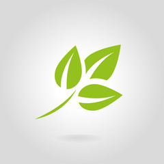 Leaf Pair Icon Vector Illustrations on Both Solid