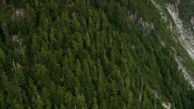 Aerial view forestation remote wilderness area, Rockies