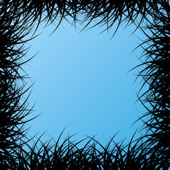 Exotic forest jungle leaves, grass and herbs wild untamed nature