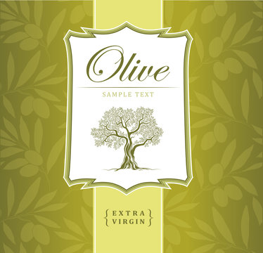 Olive tree . Olive oil.  For labels, pack.