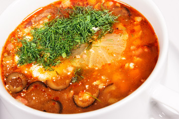 Tasty solyanka with lemon and fennel