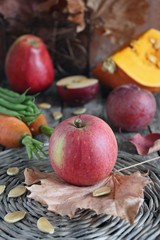 Assortment of autumn fruits and vegetables