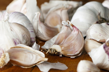 Garlic