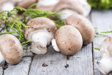 Some Fresh Mushrooms