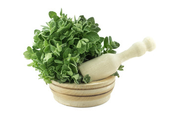 Mortar with fresh thyme herb