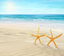Fototapeta na wymiar Dwa rozgwiazdy na plaży