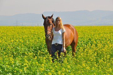 Pferd