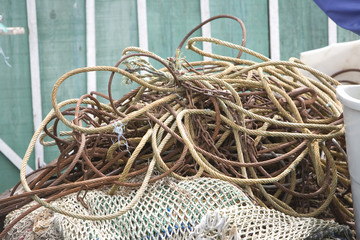 P&Ecirc;CHE HUITRES ARCACHON