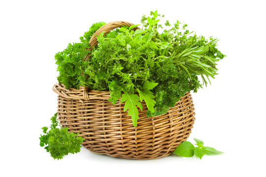 Collection of Fresh Spicy Herbs in Basket / isolated