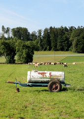 Fototapete bei efototapeten.de bestellen   