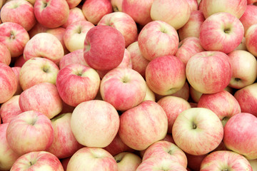 Fresh red apples in the box