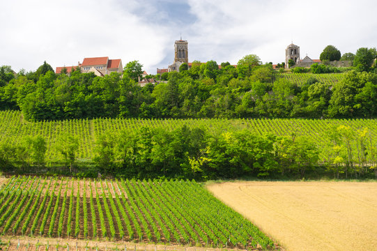 Vineyards in French Burgundy