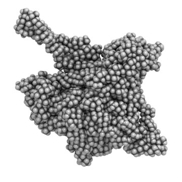 Polypropylene (polypropene, PP) plastic, chemical structure