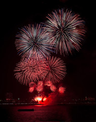 Fireworks display celebration