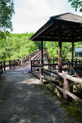 Pavilion with pathway at Mangrove forest