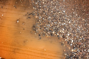 Puddles