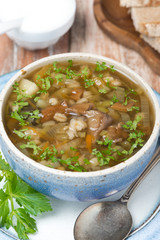 bowl of mushroom soup with pearl barley, top view