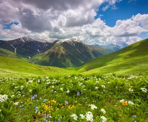 Zelfklevend Fotobehang Bloemenvelden in de bergen. Georgië, Svaneti. © Andrew Mayovskyy