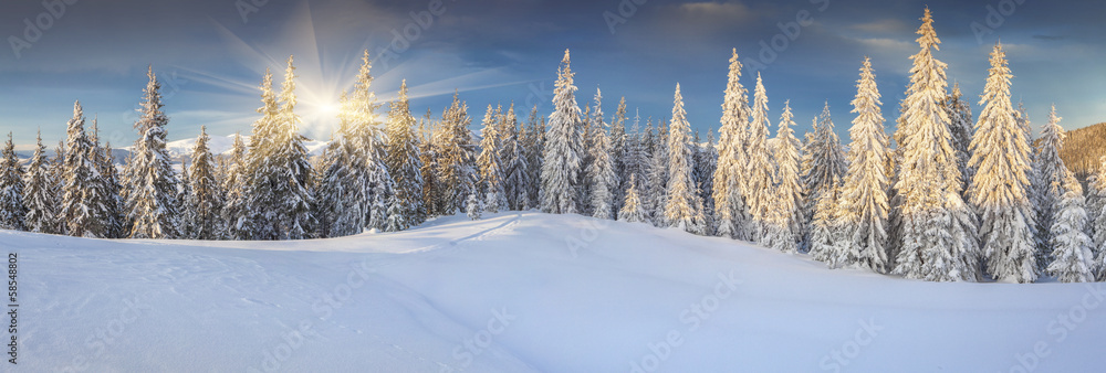 Sticker panorama of the sunny winter landscape in the mountains