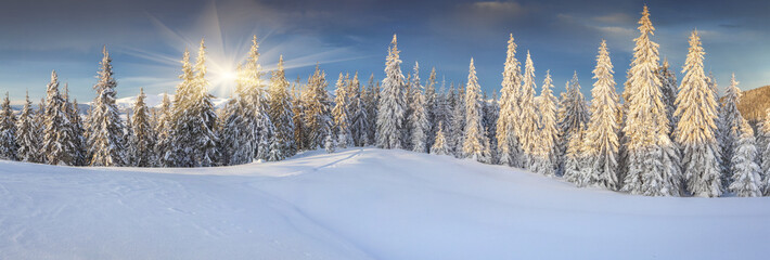 Panorama of the sunny winter landscape in the mountains