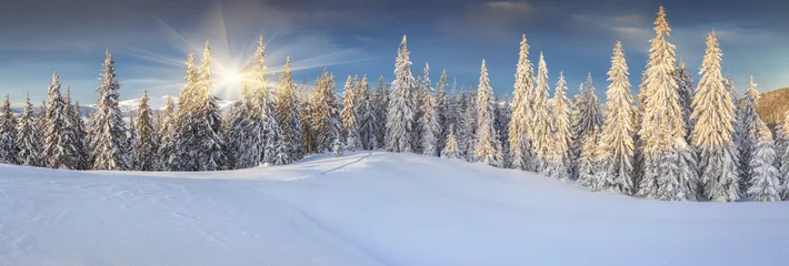 Keuken spatwand met foto Panorama of the sunny winter landscape in the mountains © Andrew Mayovskyy