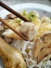 Chicken and noodle
